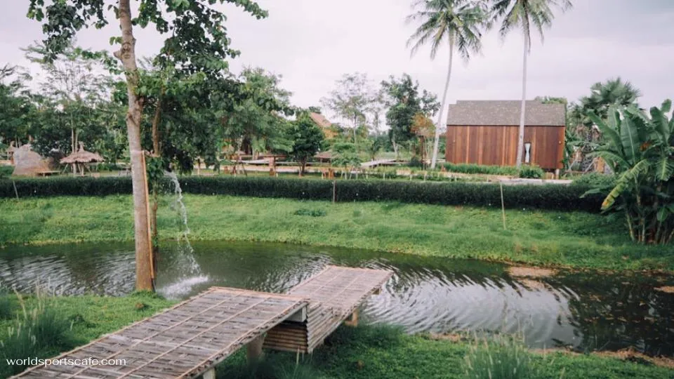 บ้านนอกคอกนา เขาใหญ่