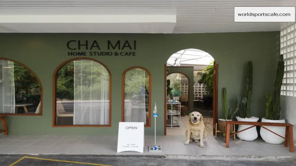 Chamai Home Studio & Cafe